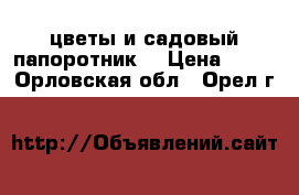 цветы и садовый папоротник  › Цена ­ 50 - Орловская обл., Орел г.  »    
